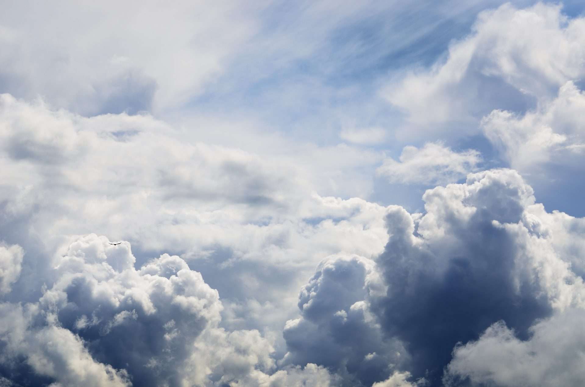 Cloud Services 7 DSC 8751 39 scaled